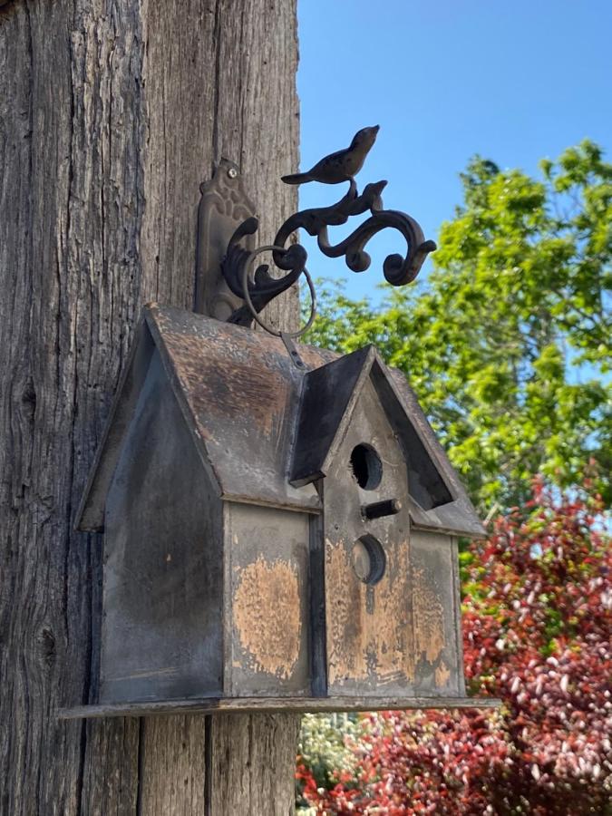 Gite Les Robins Vergigny ภายนอก รูปภาพ